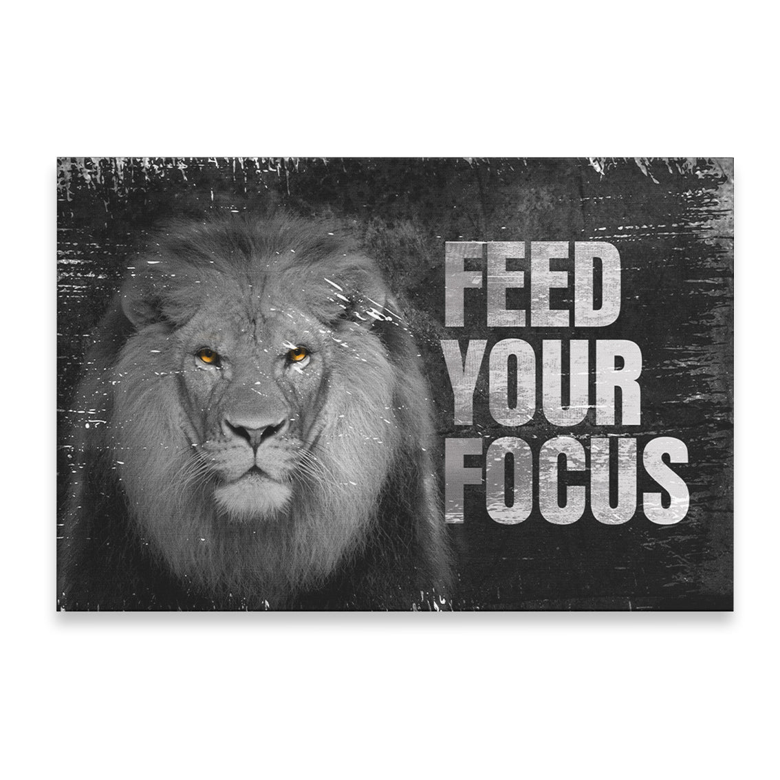 FEED YOUR FOCUS