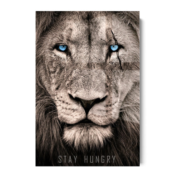 LION STAY HUNGRY  - ACRYLGLAS