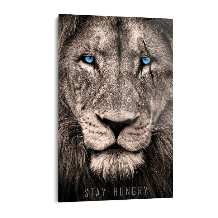 LION STAY HUNGRY  - ACRYLGLAS