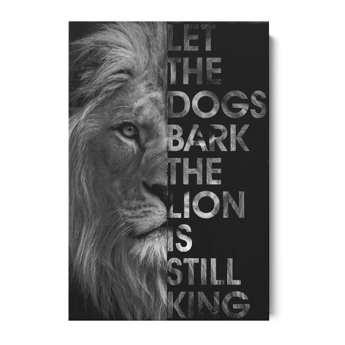 STILL LION